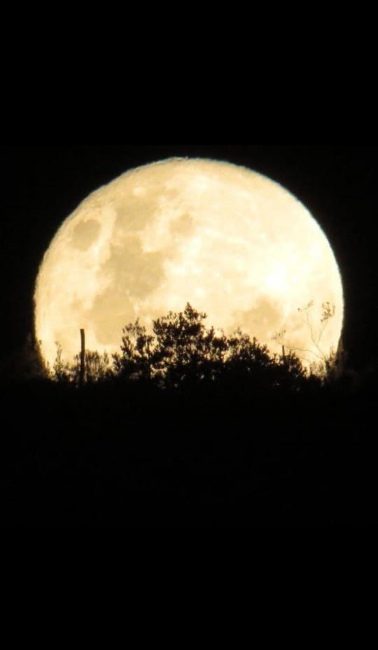 3 Bedroom Property for Sale in Joubertina Eastern Cape